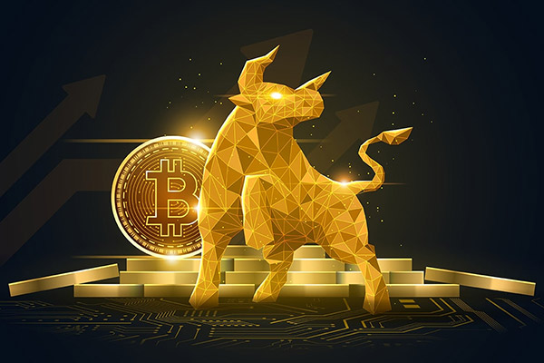 如何在牛市前识别资金积累信号（2026深度指南）