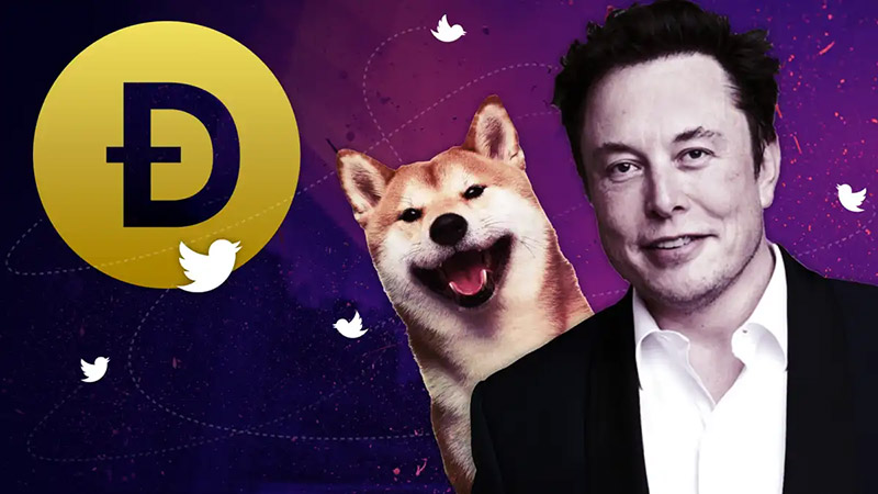 Elon Musk and Dogecoin