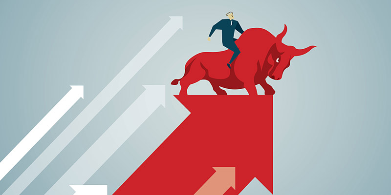 Cryptocurrency Bull Market