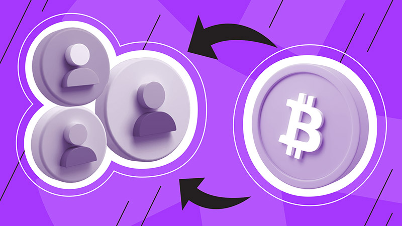 Crypto project team background