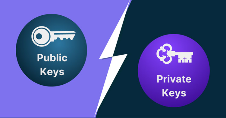 Crypto Wallet Public and Private Keys