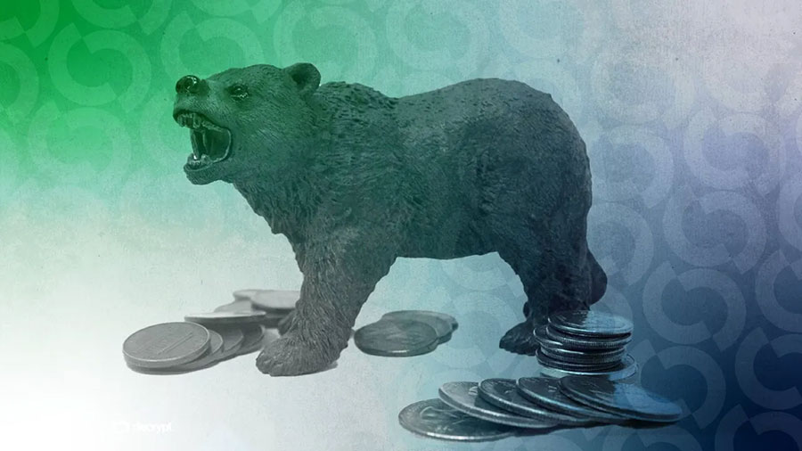 Cryptocurrency Bear Market