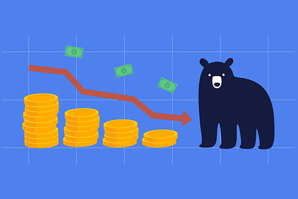 Cryptocurrency Bear Market